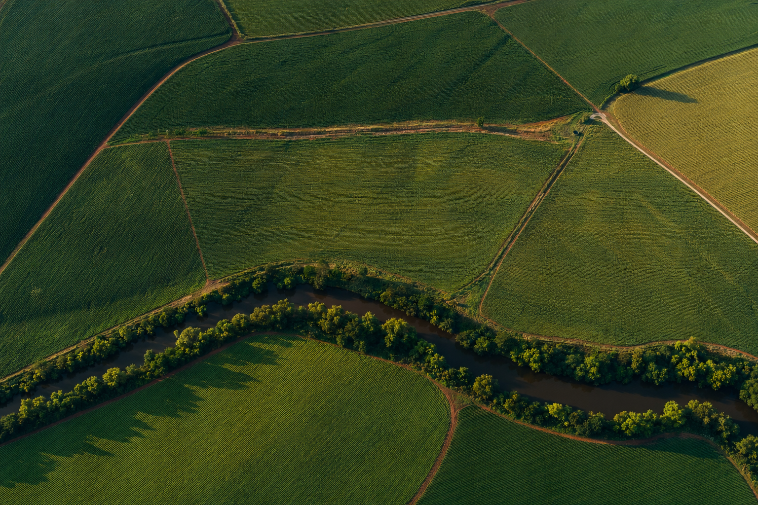Aerial view of Carolina farmland